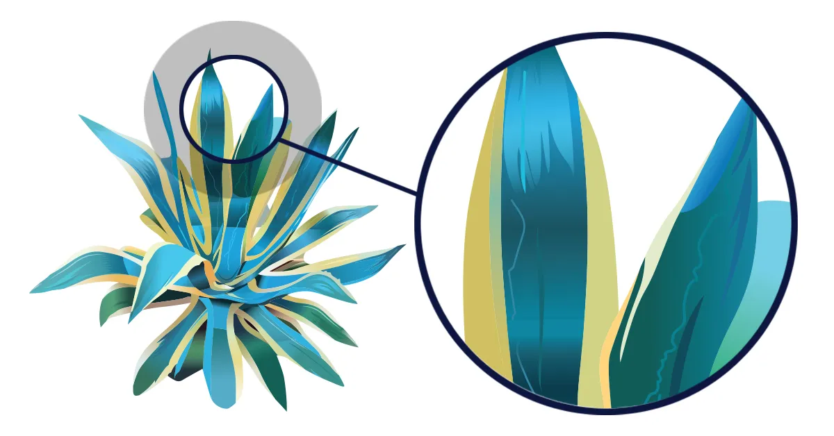 Vectorafbeelding maken